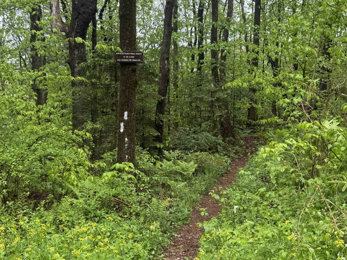 Country Road photo 2