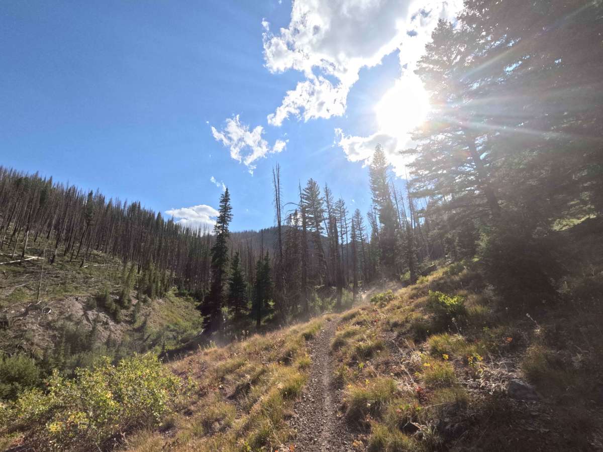 Placer Creek Trail - FS 7141 photo 2