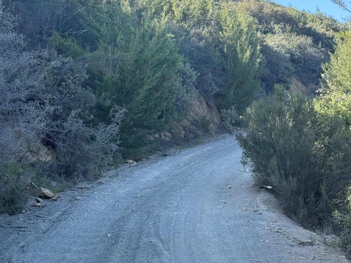 Otay Mountain Truck Trail West photo 2