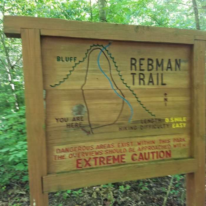 Near Big Rocky Hollow Trail
