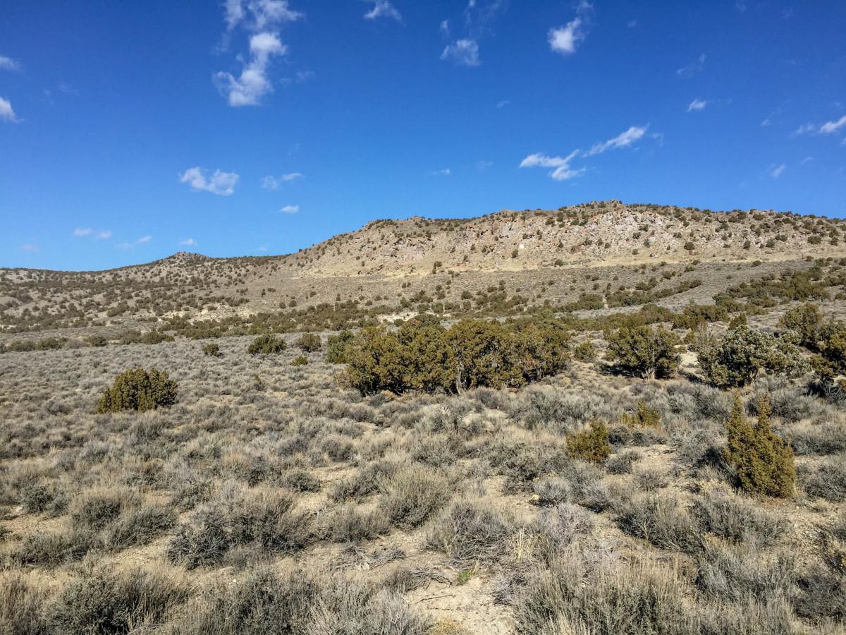 Wildcat Hills photo 3