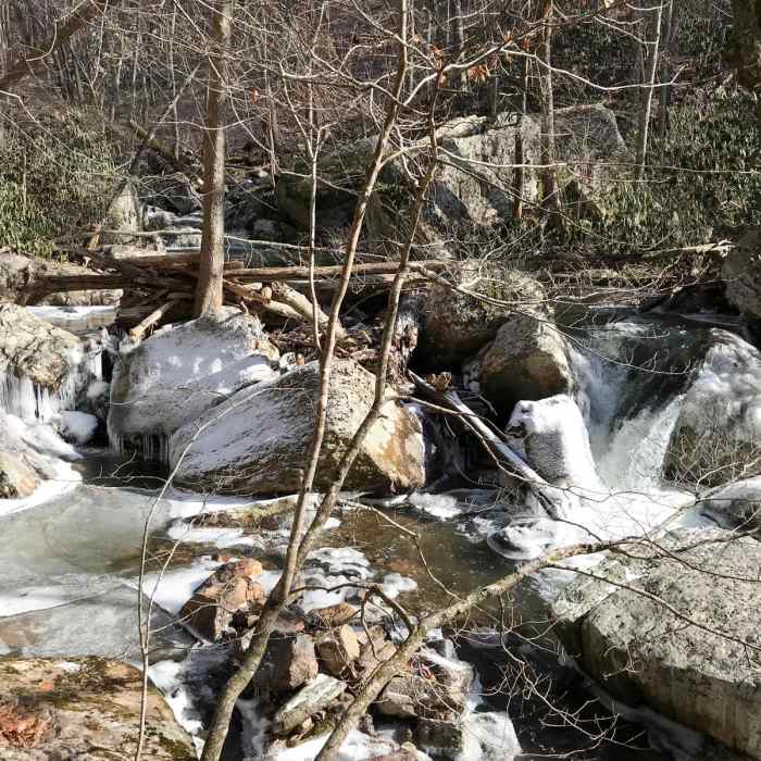 Near Cascade Falls Loop