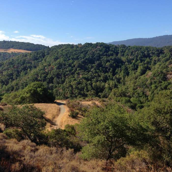 Near Dick Bishop Trail