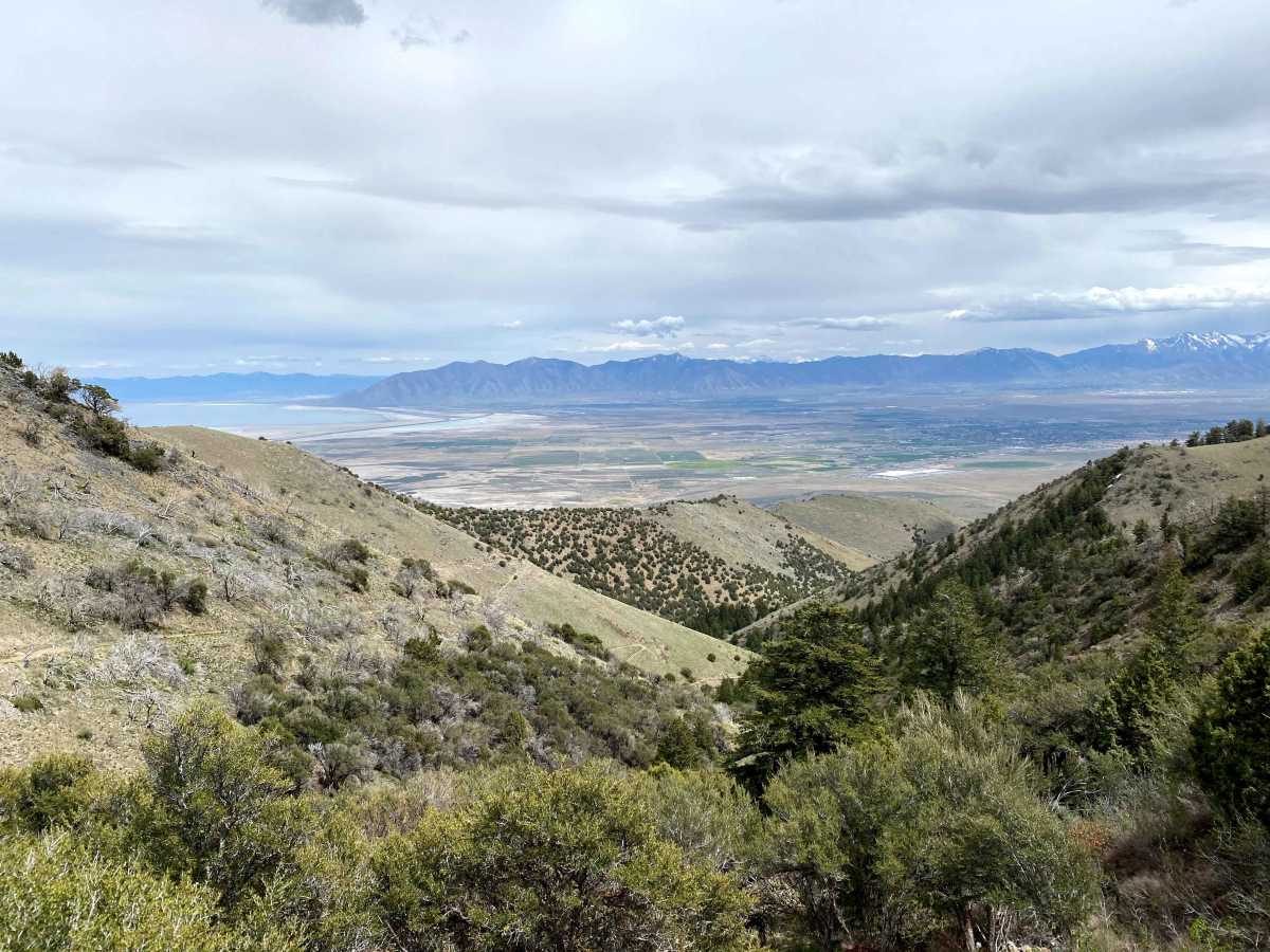 Miner Canyon/Kimbell Mine trail photo