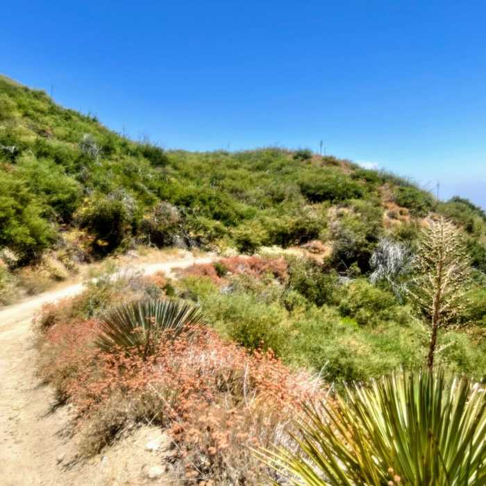 Near Grizzly Flat to Mount Lukens Near Grizzly Flat to Mount Lukens