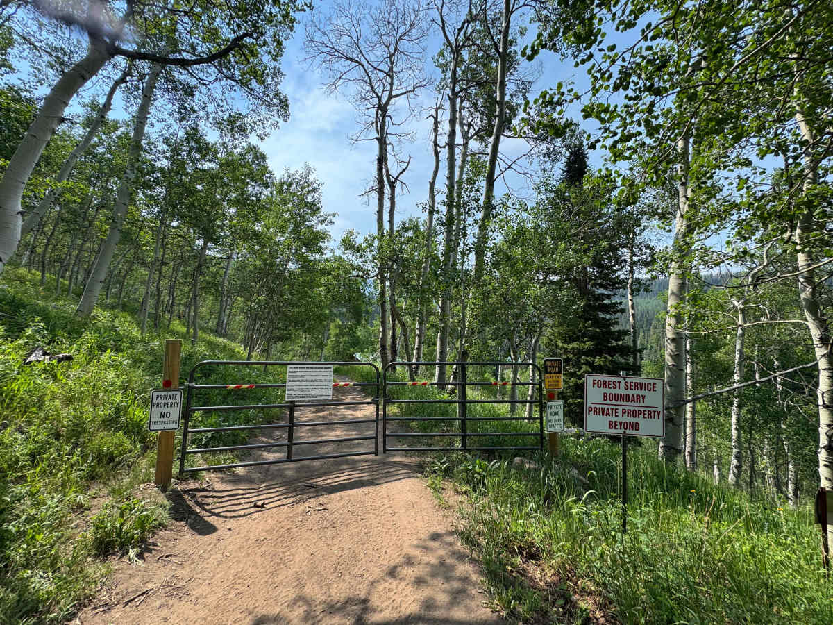 Old Fulford Road - FS 419  photo 3