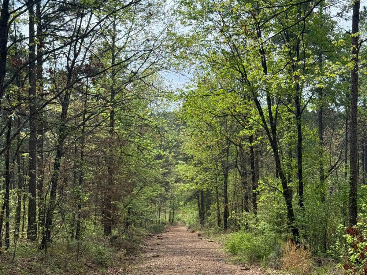 Stephens Road  trail photo