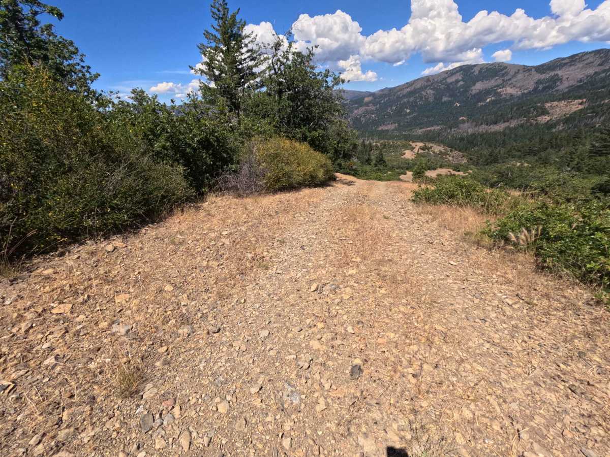 Little Baldy - FS 23N17 trail photo