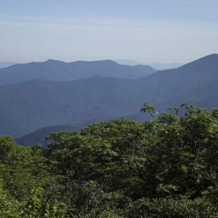 Near Pinnacle Hike at Craggy Gardens Near Pinnacle Hike at Craggy Gardens
