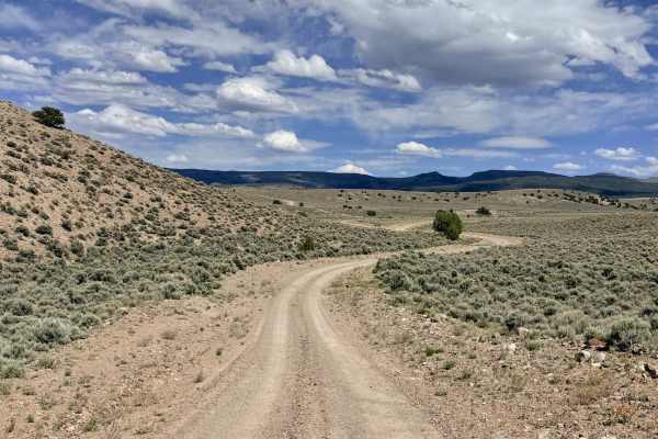 Butler Creek - FS 43373