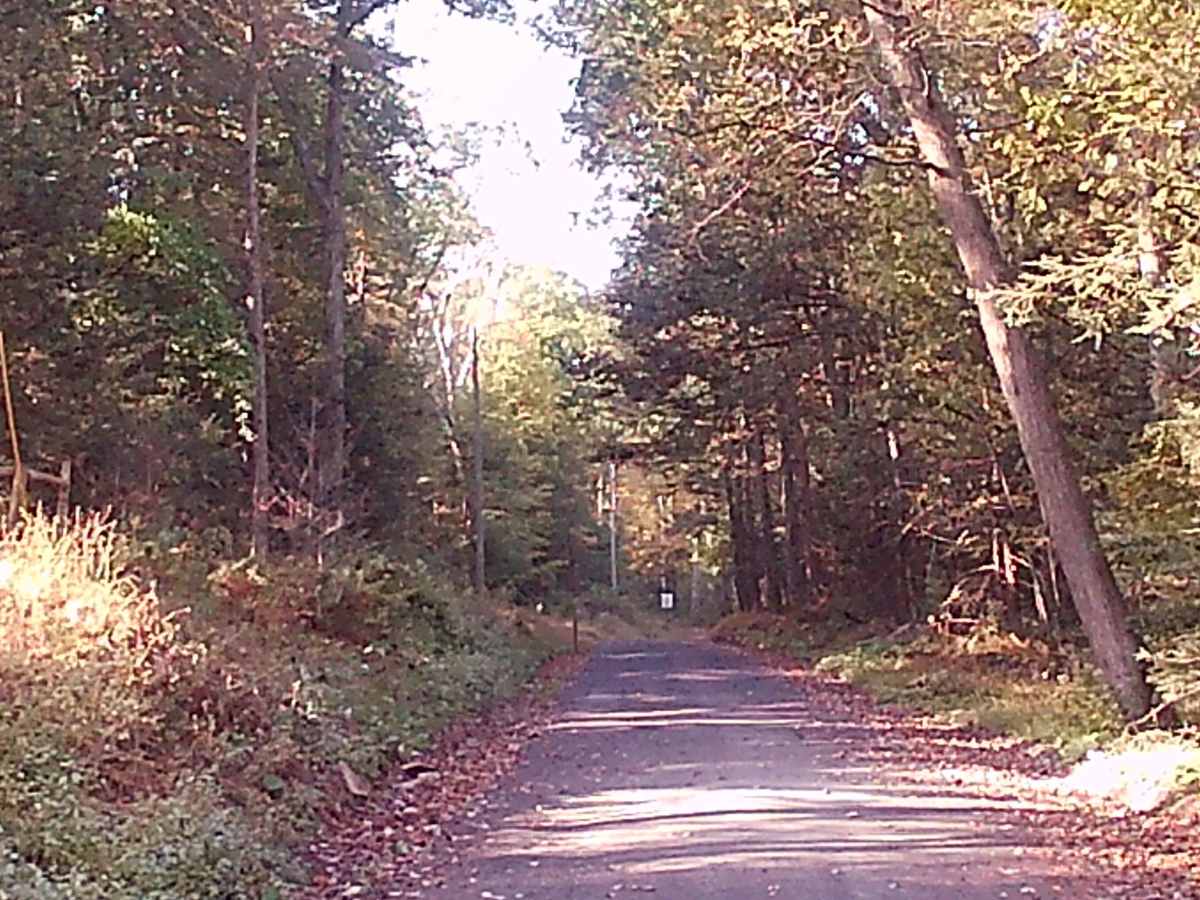 Lingle Valley Road photo 3