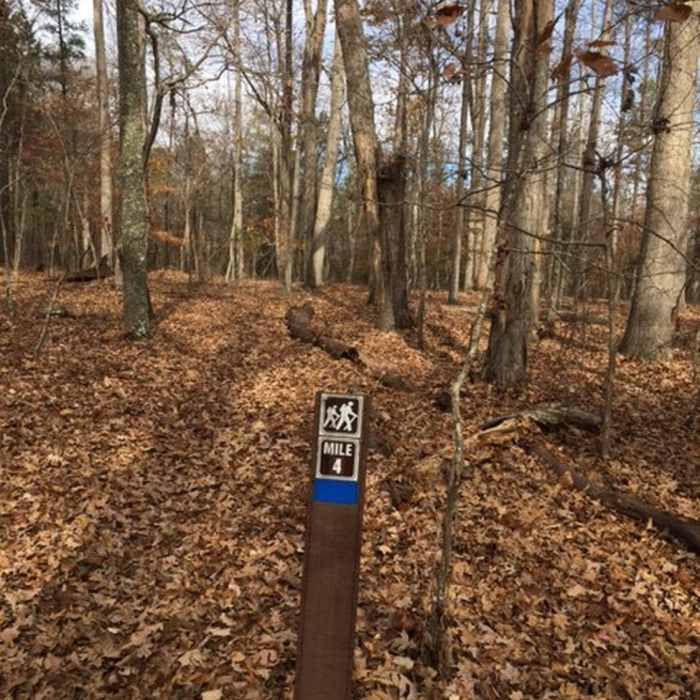 Clear mile markers Near King Mountain National Recreation Trail Loop
