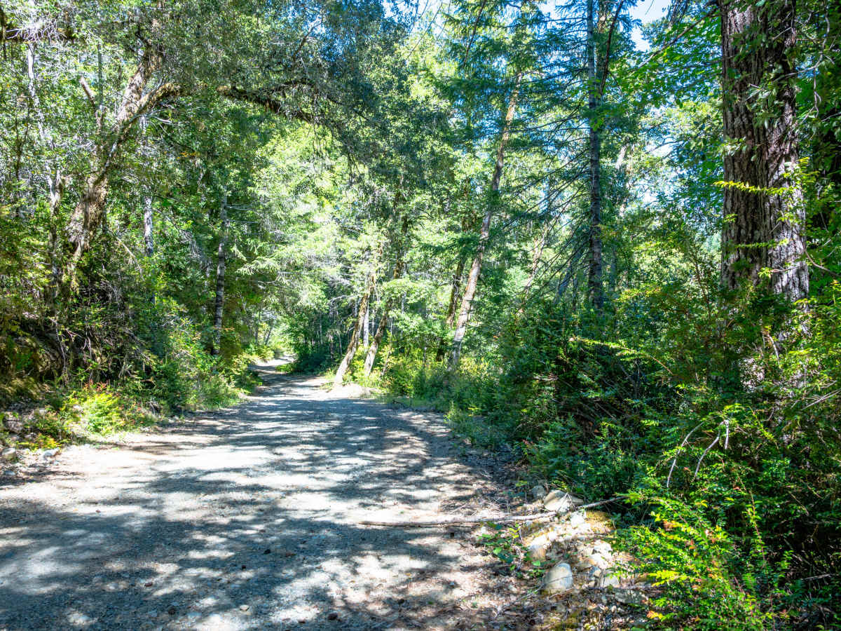 Pappas Flat trail photo