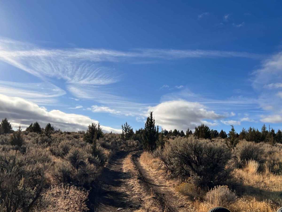 Steens Resort ODT photo 2
