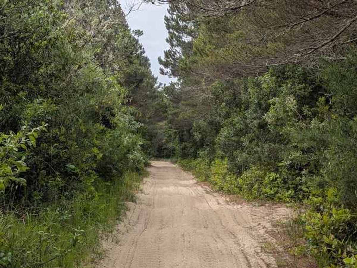 Hunters Trail - 1349 photo 4