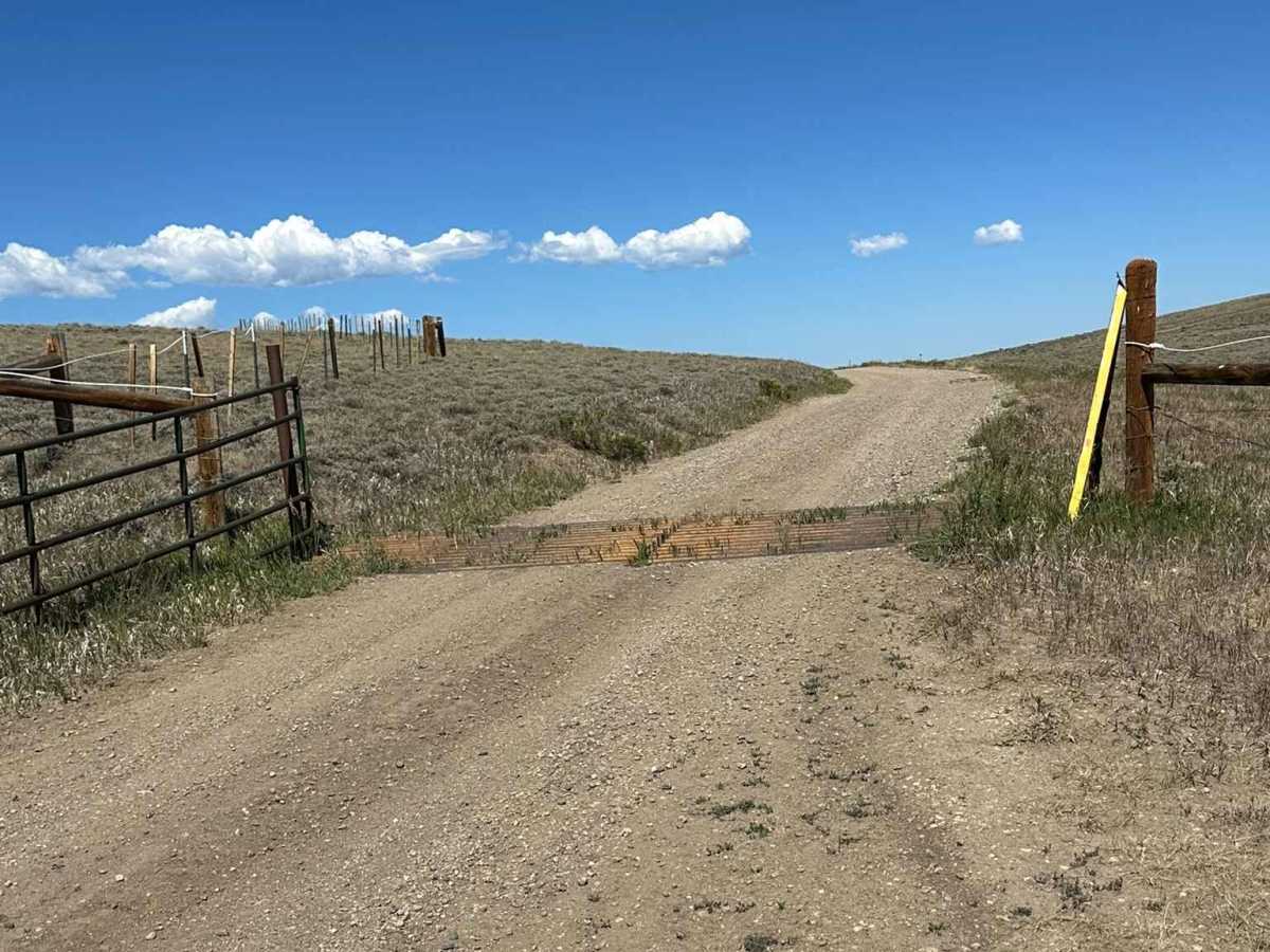BLM 2759 photo 3
