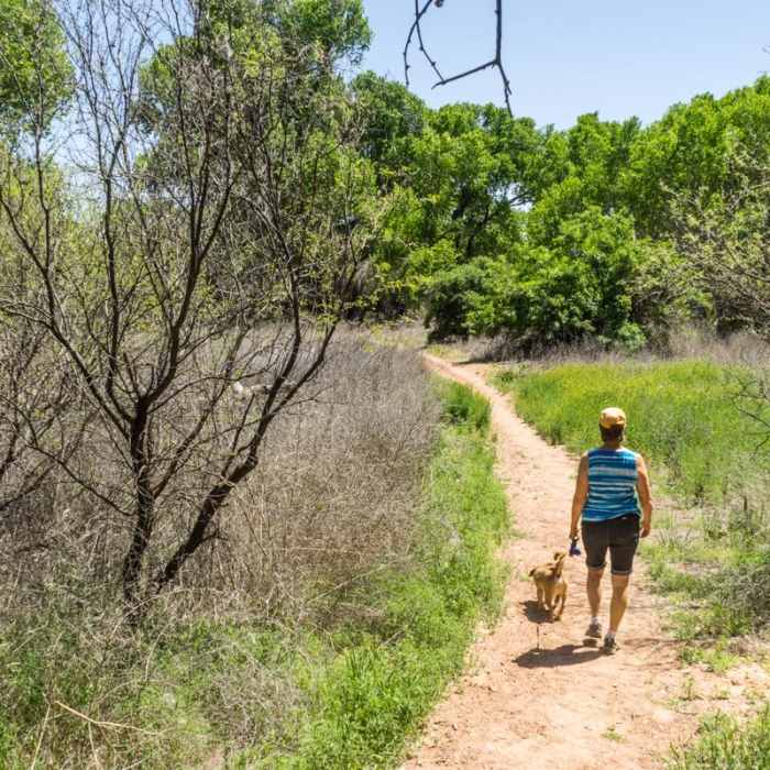 Near Verde River Greenway Trail