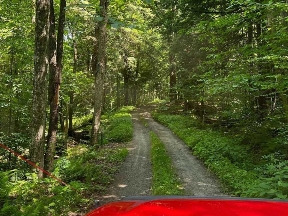 Egypt Road Western Section to Tanner Falls photo 2