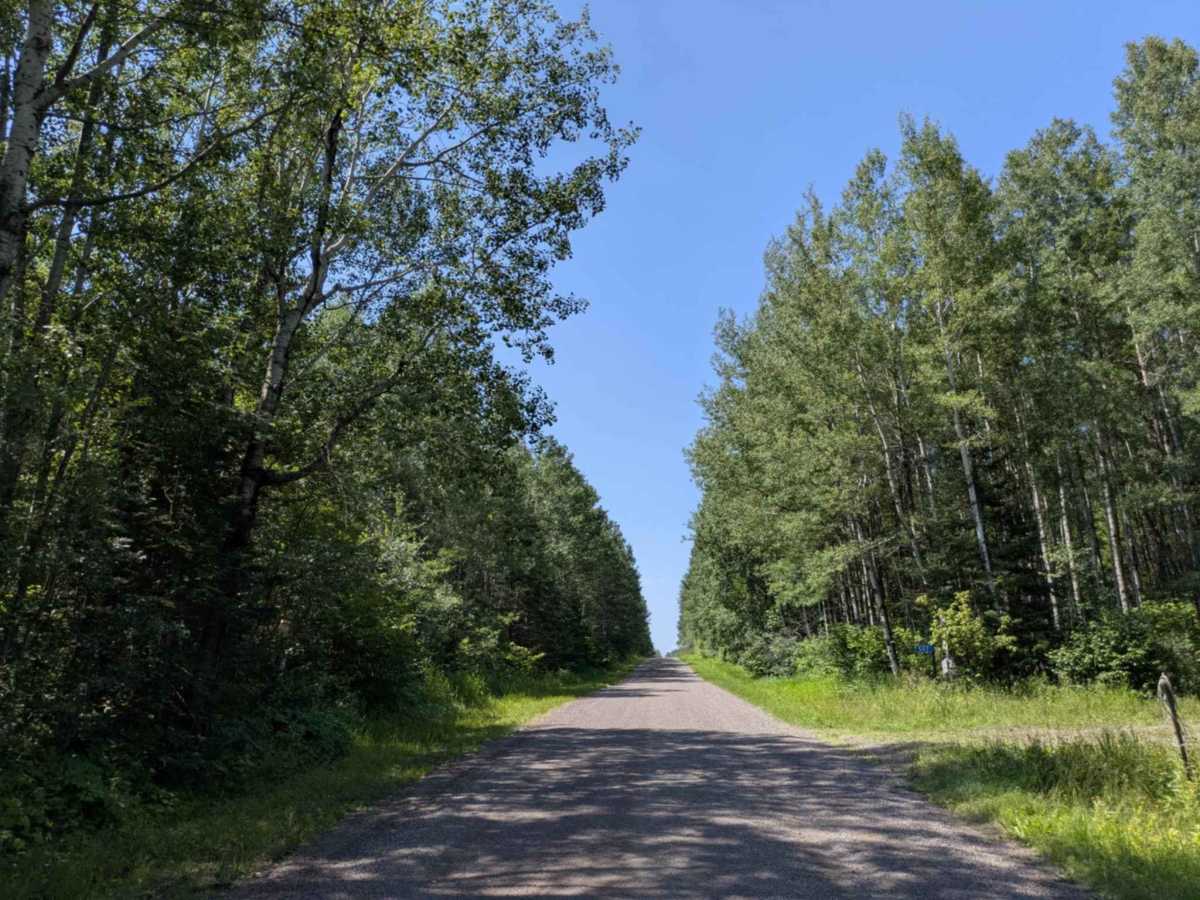 County Road 60 photo 6