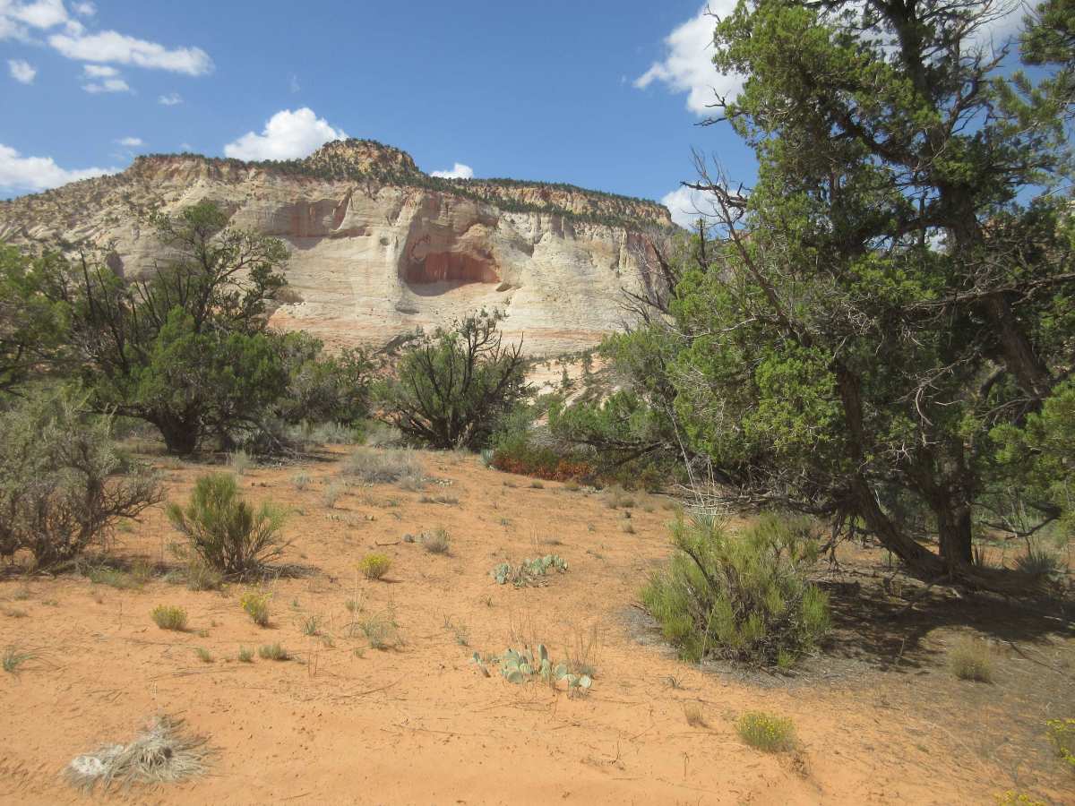Poverty Gulch Technical with Overlooks trail photo