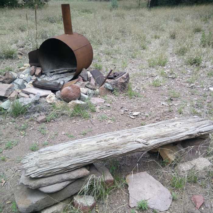 Near Mineral Creek Trail to Cooney Mine Camp