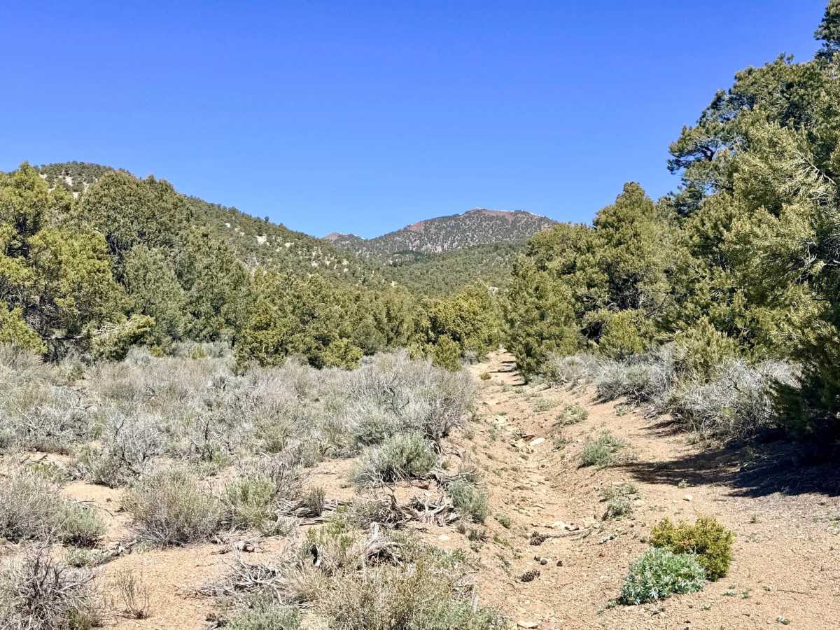 Historical Stage Route -  FS 44214 photo 6
