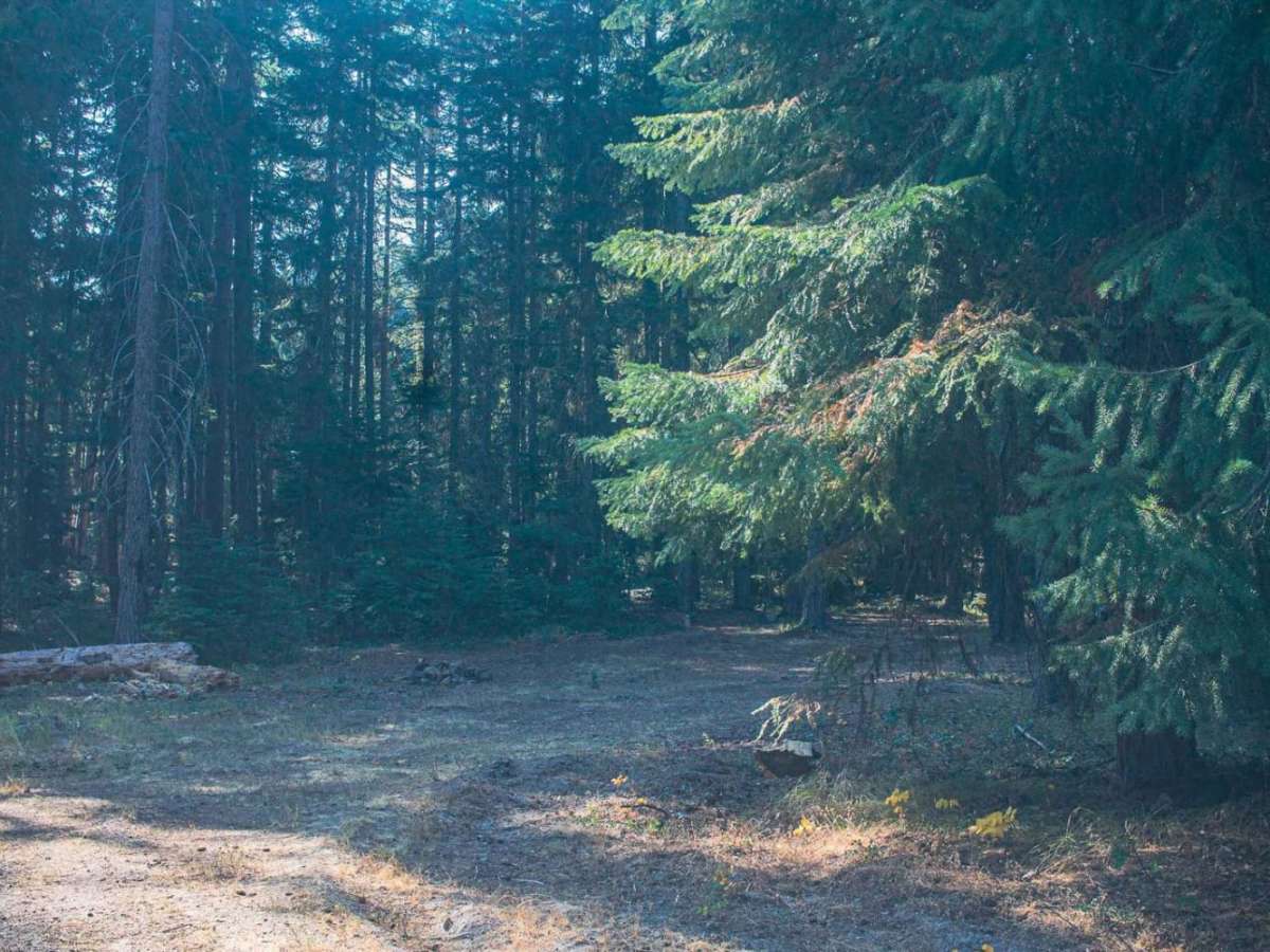Indian Creek photo 2