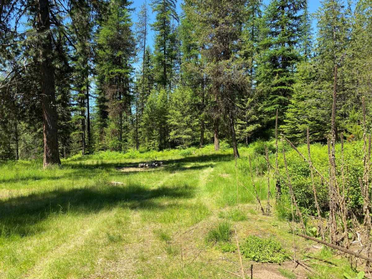 Hartill Meadows trail photo