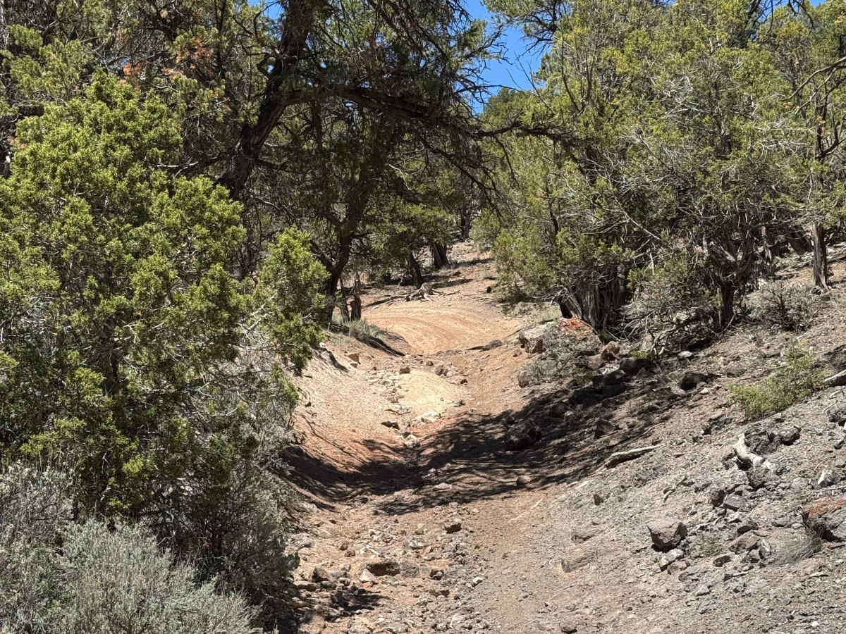BLM 8470 trail photo