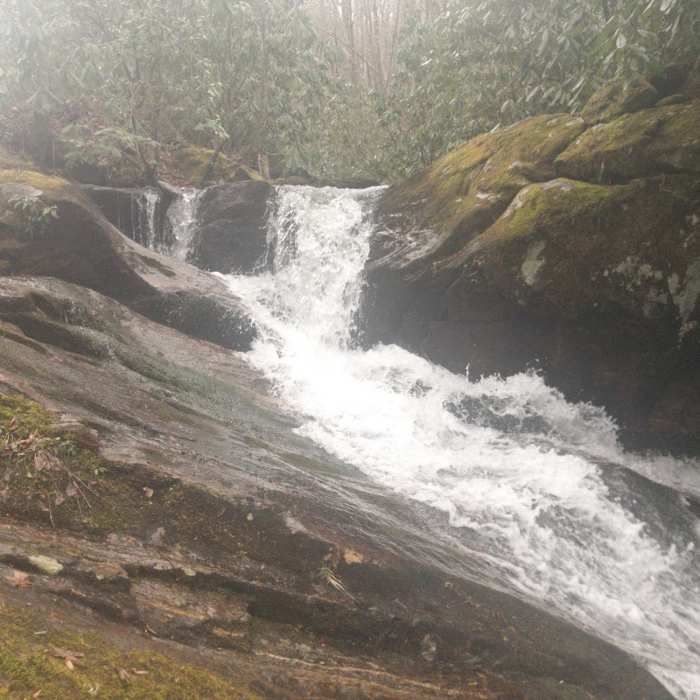 Philips Creek Near High Line Loop