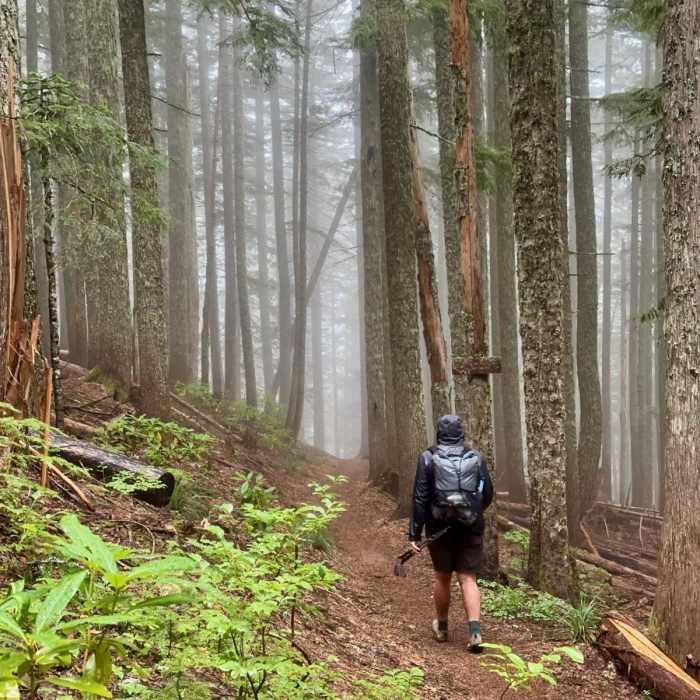 Near Pacific Coast Trail: Mount Hood Wilderness