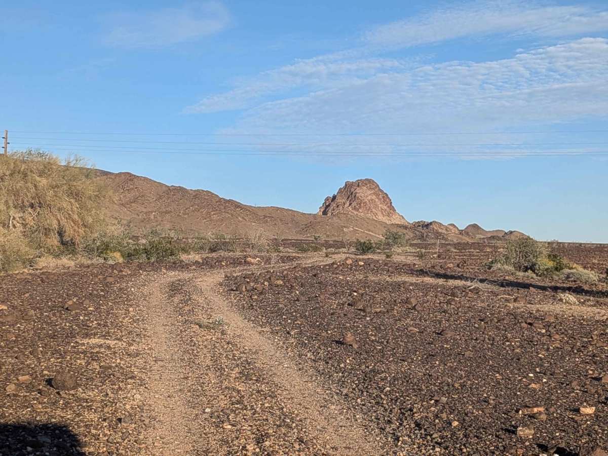 BLM 751 photo 6
