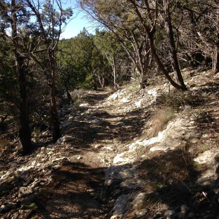 Expect to pass through this type of terrain along the Boot Trail. Near Boot Trail