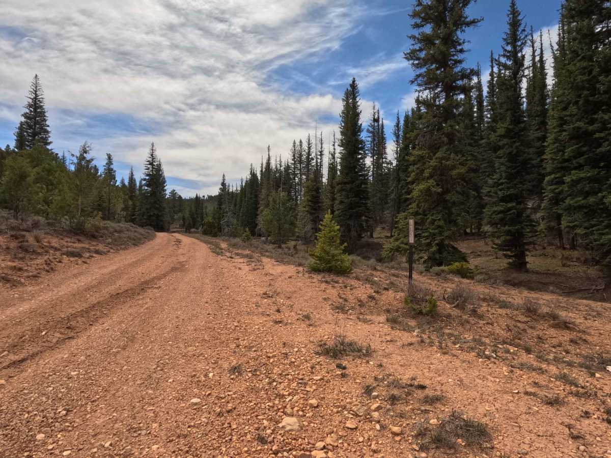 Long Hollow - FS 31130 photo 2