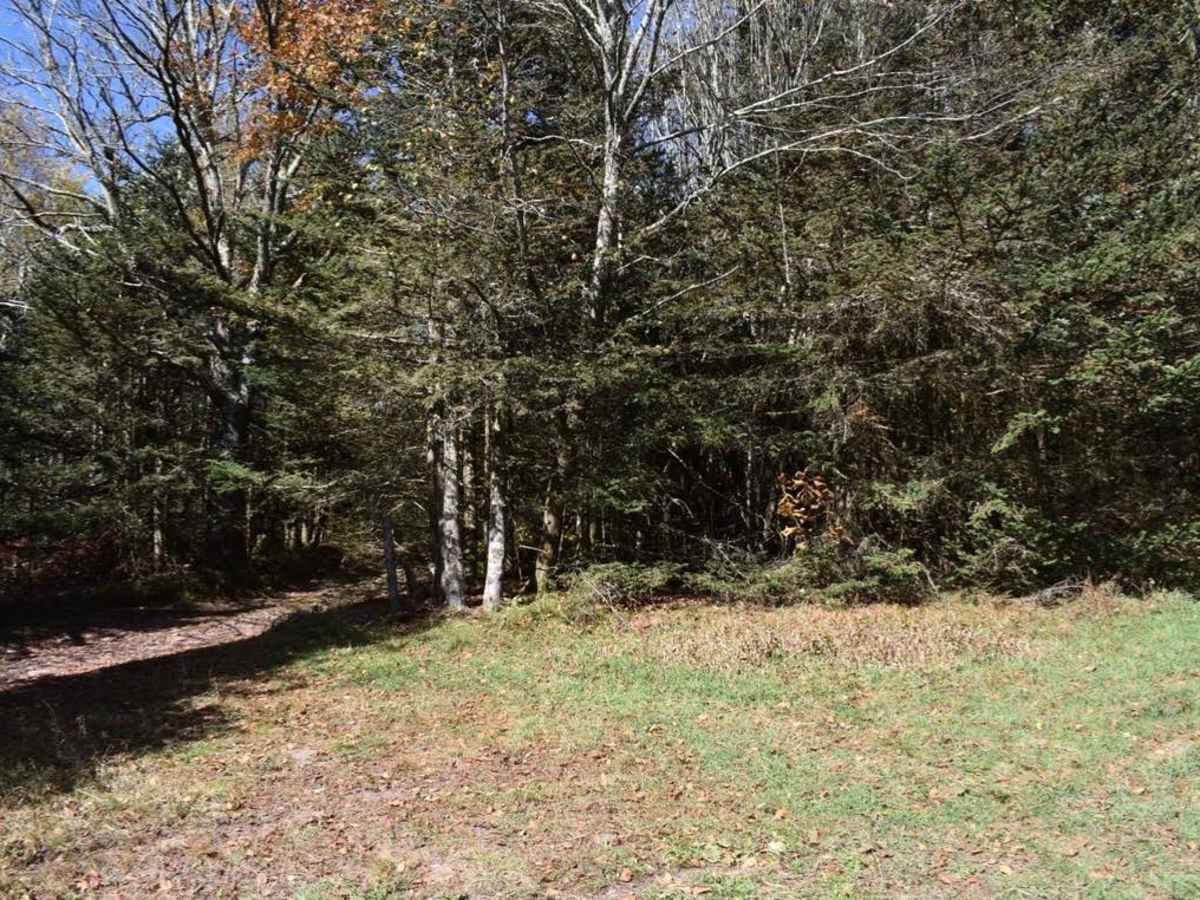 Bother Flagpole Knob Trail photo 5