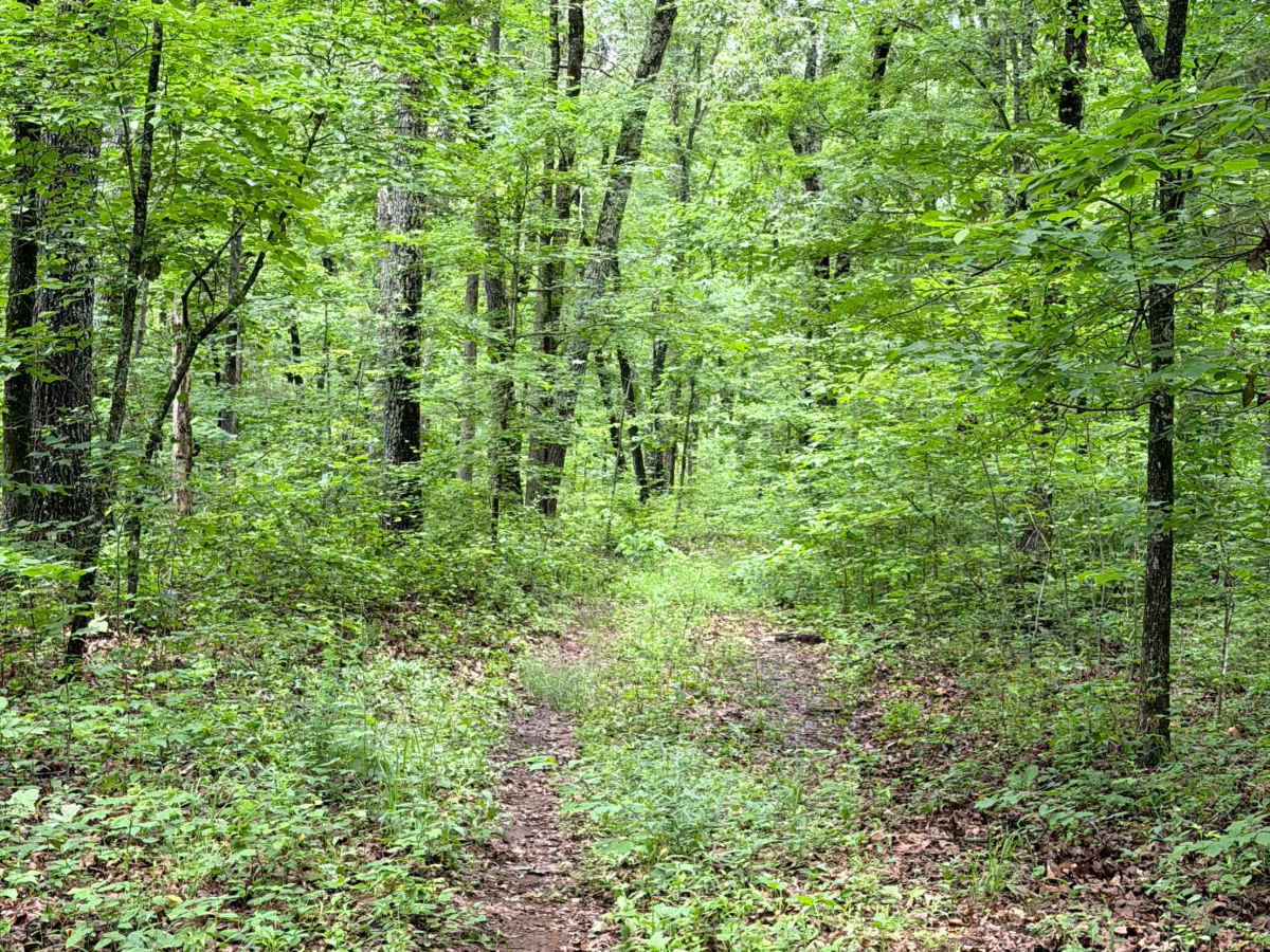 West Prong Passage photo 5