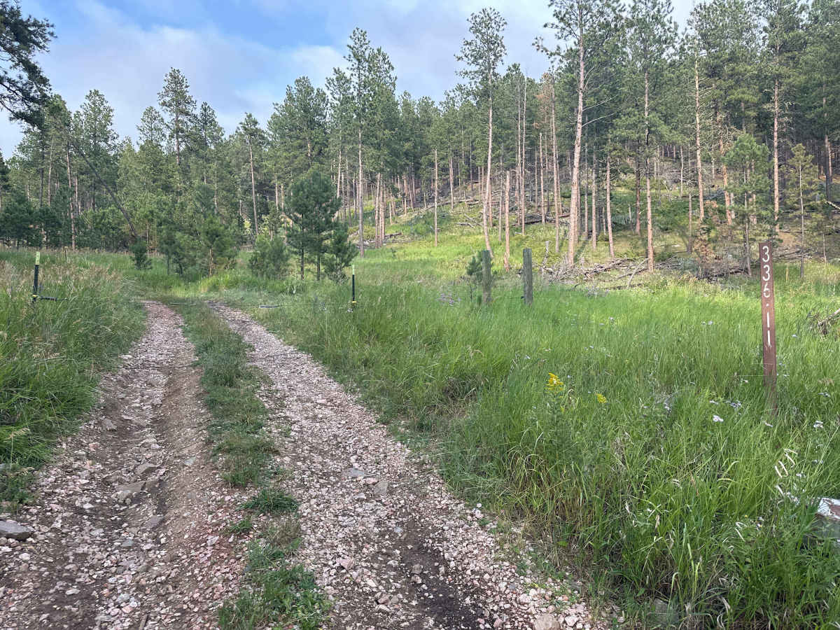 Hines Br1i / 336-11 trail photo