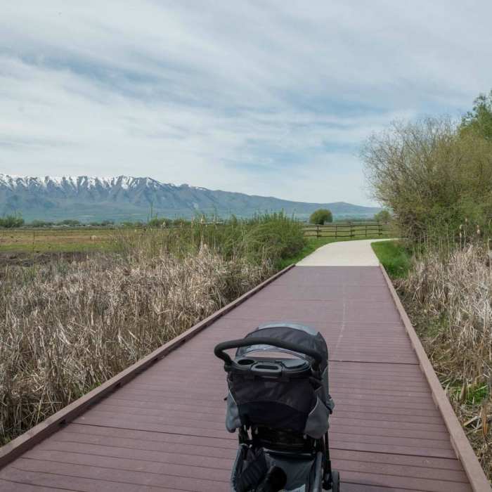 Near Trapper Park Trail