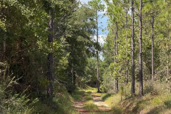 Blackwater River R79
