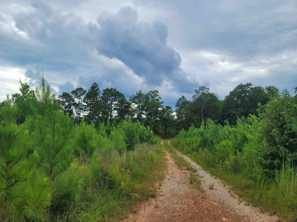 USFSR #512A trail photo