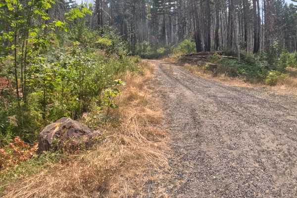 Mari-linn Road - FS 2242000
