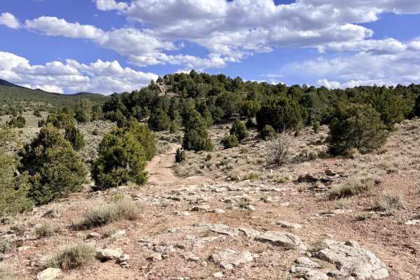 Willow Creek - FS 43372
