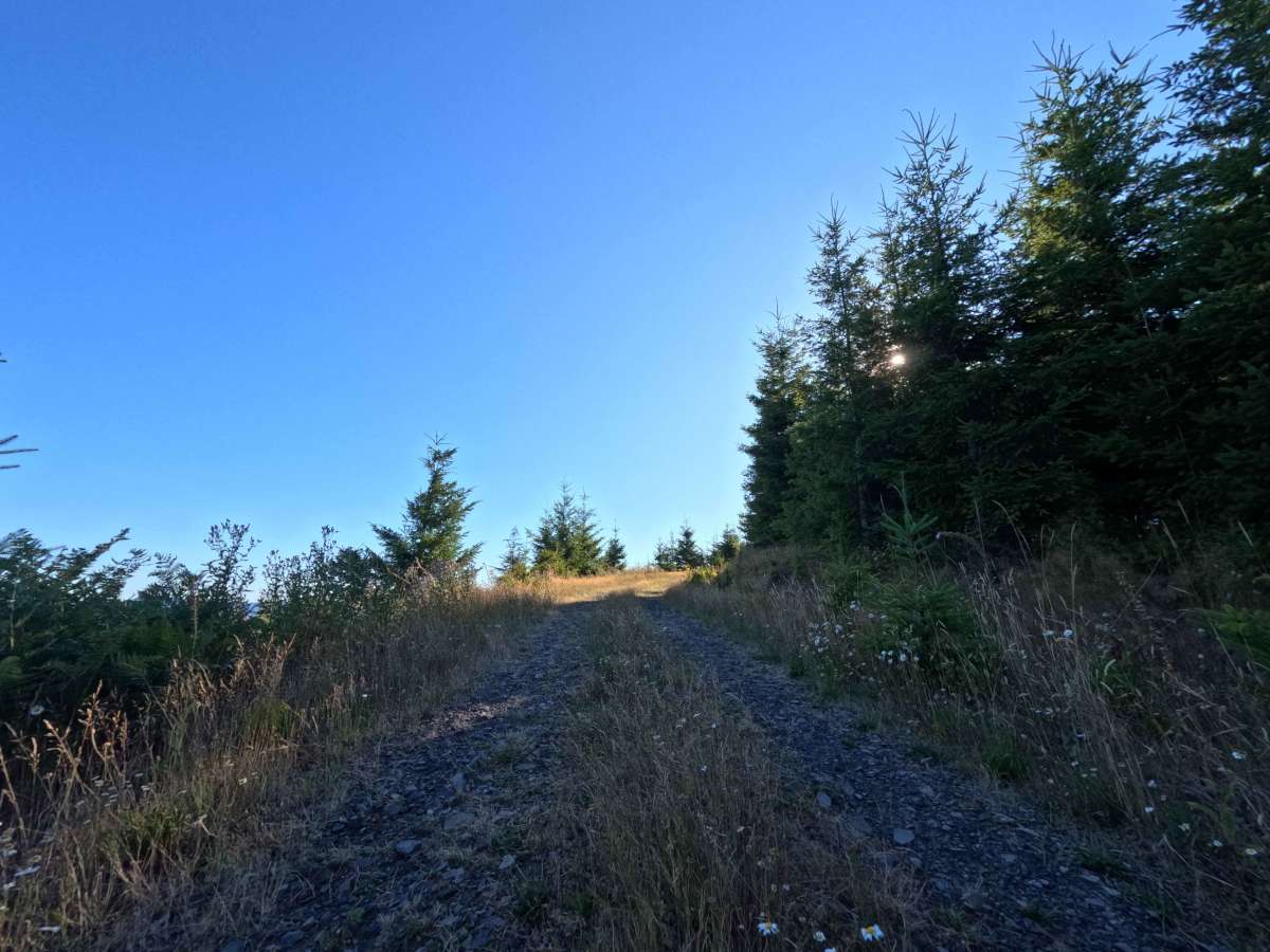 Crazy Man Mountain - W-546 photo 4