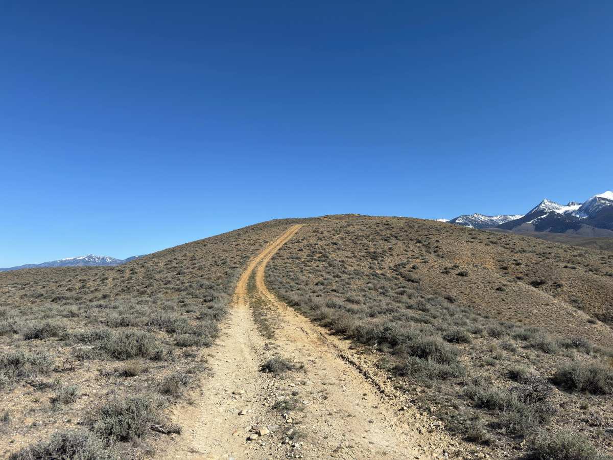 BLM 124 photo 3