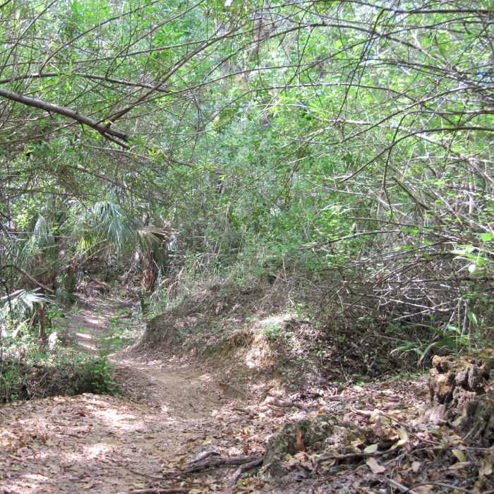 Far East section Near Caloosahatchee Regional Park - North