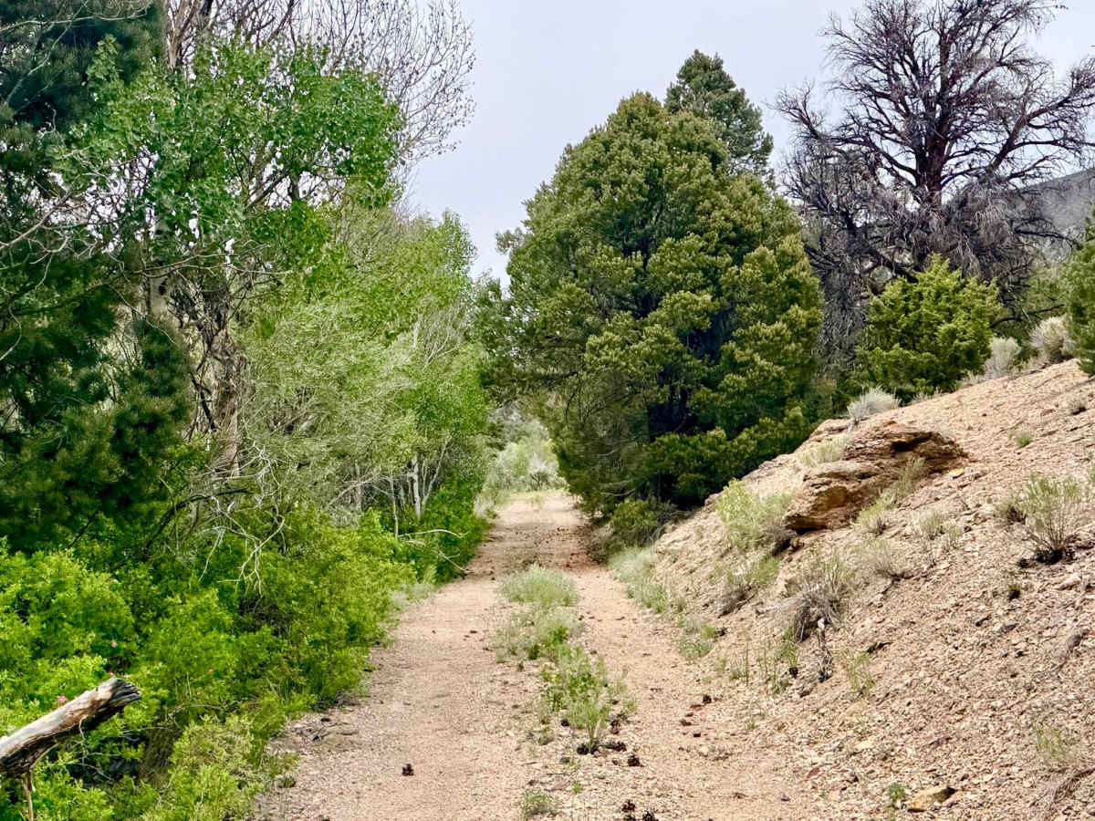 Clear Creek Trailhead - FS 44097 photo 2
