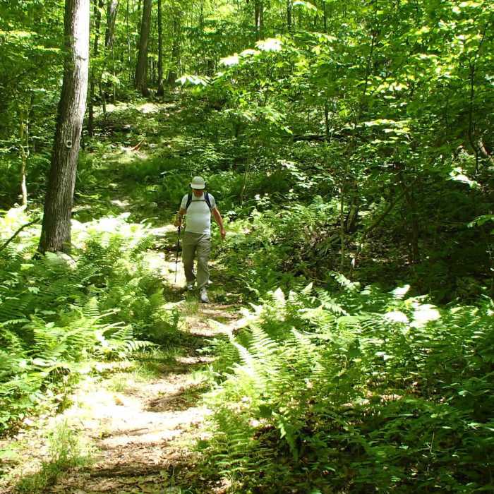 Downhill towards Stony Brook Near Stony Lake to Sunrise Mountain