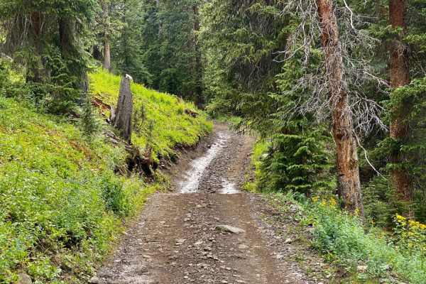 Silver Basin Trail