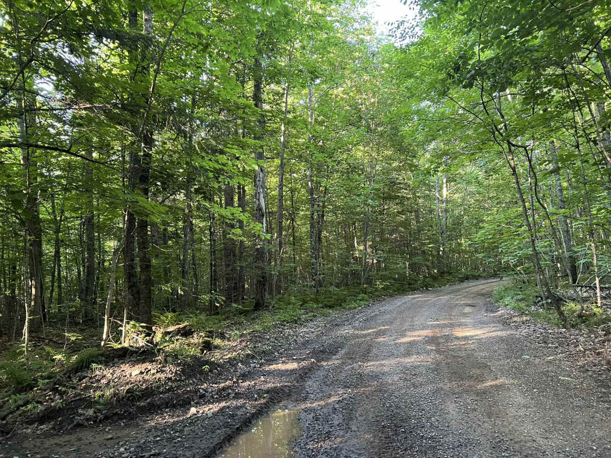 Fireside Market and Station Access Trail photo 6