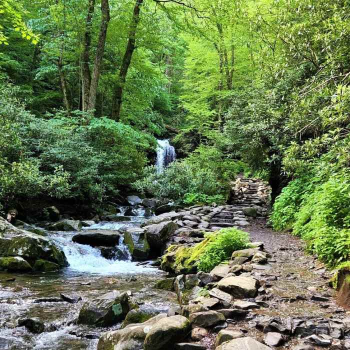 View from the trail. Near Grotto Falls